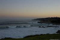DSC_5872